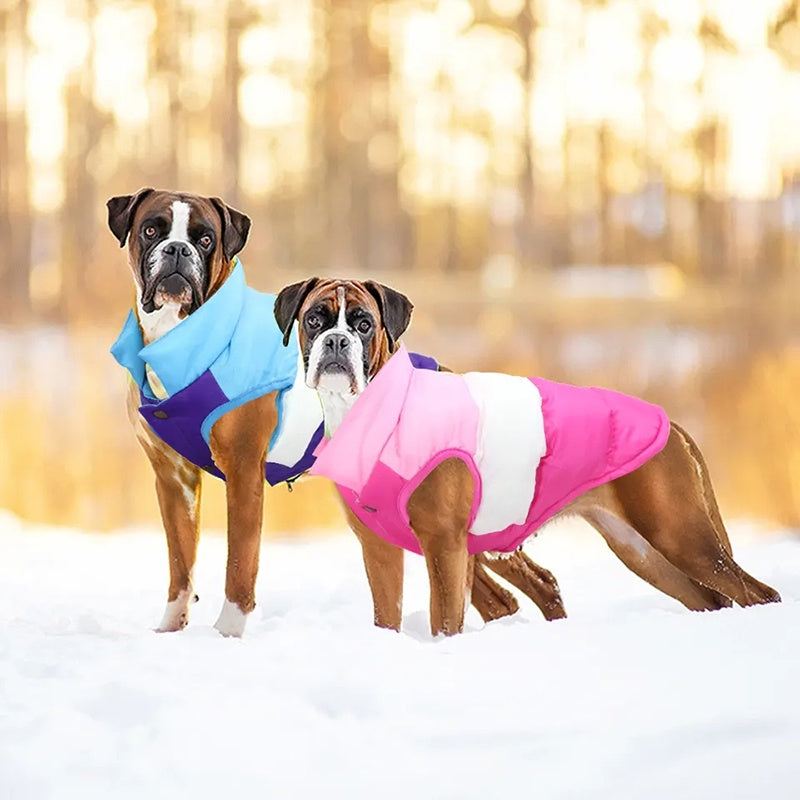 Winter Dog Down Coat for Small Medium Dogs Cats Puppy Jacket