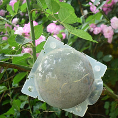 Plant Breeding Box Seedlings Manual Planting Grafting Box