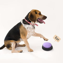 Dog Voice Recording Button Pet Communication Training Buzzer