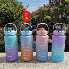 Gradient Plastic Water Bottle with Straw and Lid for Camping and Picnic