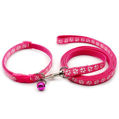 Paw Pattern Pet Collar & Leash Set for Outdoor