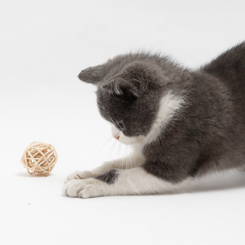 Rattan Cat Double Ball Toy Set with Bell & Feather