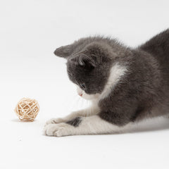 Rattan Cat Double Ball Toy Set with Bell & Feather