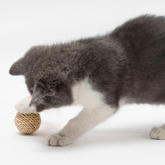 Rattan Cat Double Ball Toy Set with Bell & Feather