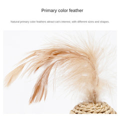 Rattan Cat Double Ball Toy Set with Bell & Feather