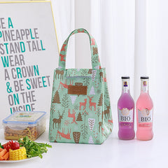 Portable Ice Pack Bento Bag Insulated Lunch Box Bag for Picnics
