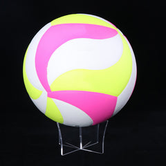 Professional Competition Volleyball No 5 with Pump