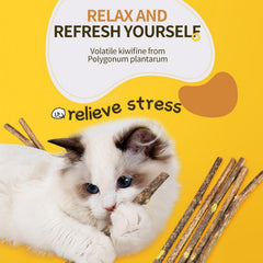Cat Molar Stick Cleaning Teeth Natural Catnip Pet Cat Toothpaste Stick