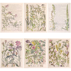 20pcs Large Wildflowers Paper Stickers DIY Arts Crafts Stationery Decoration