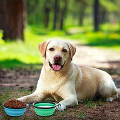 Collapsible Silicone Dog Bowl with Cover - 1 Pack