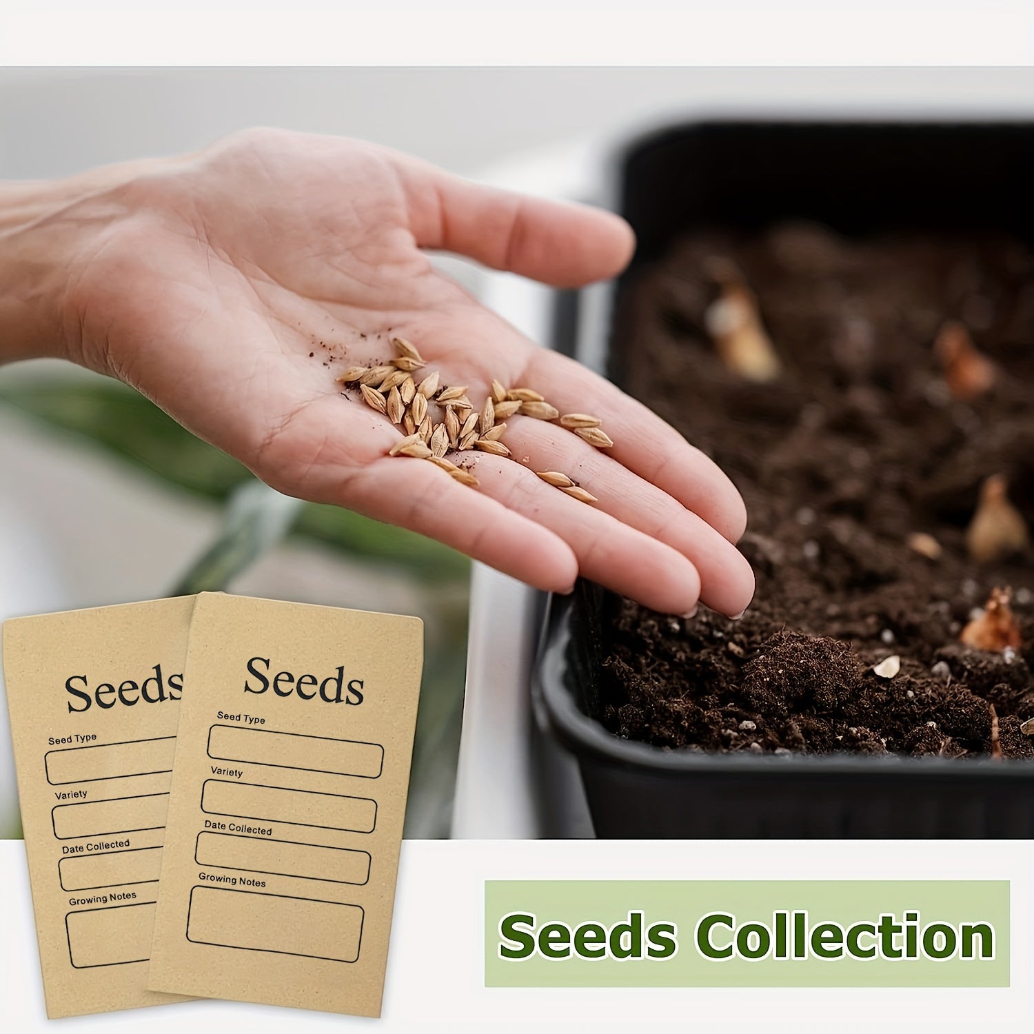 20 Seed Envelopes Self Adhesive for Saving Flower Vegetable Seeds