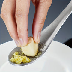 Stainless Steel Ginger Grinding Spoon Garlic Puree Tool