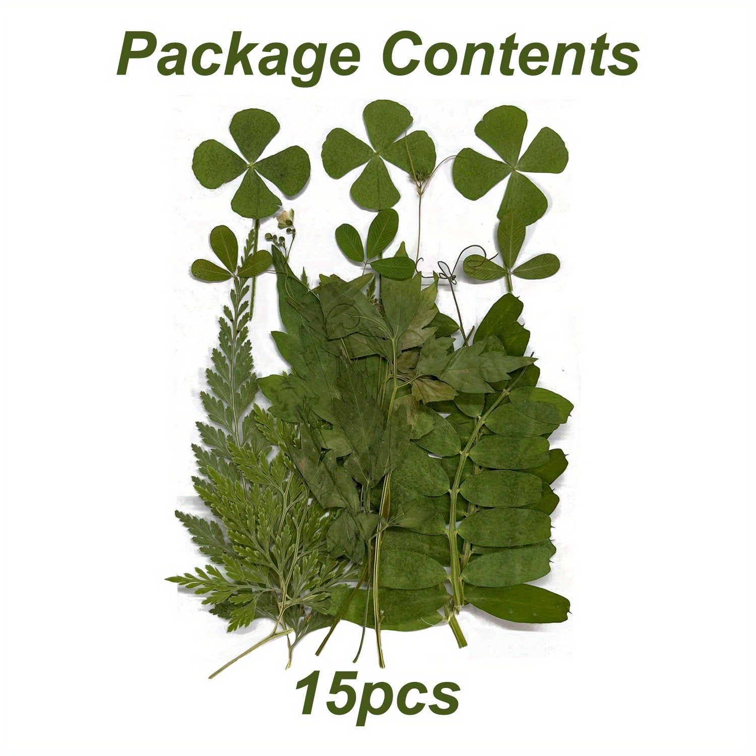 15pcs Dried Pressed Leaves Flowers Resin Fillers Greenery Crafts