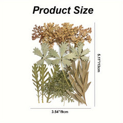 15pcs Dried Pressed Leaves Flowers Resin Fillers Greenery Crafts