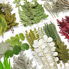 15pcs Dried Pressed Leaves Flowers Resin Fillers Greenery Crafts