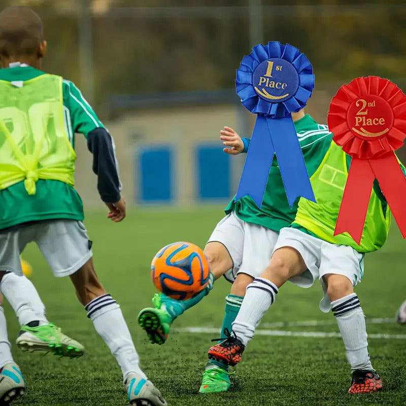 3pcs 1st 2nd 3rd Award Rosette Ribbons Set for Competition Sports Event