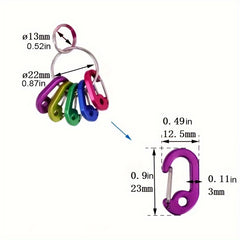 Durable Locking Carabiner Keychain Clip for Outdoors