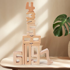 Large Particle Digital Building Blocks Preschool Education Set