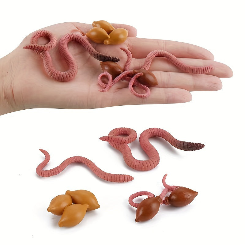 Mini Earthworm Growth Cycle Model - Teaching Toy & Gift for Ages 14+