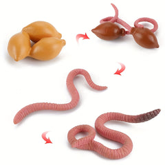 Mini Earthworm Growth Cycle Model - Teaching Toy & Gift for Ages 14+