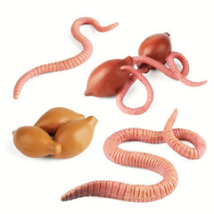 Mini Earthworm Growth Cycle Model - Teaching Toy & Gift for Ages 14+