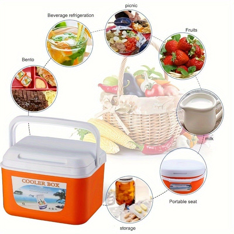 Portable Insulated Cooler Box with Lid and Handle Leakproof Fabric