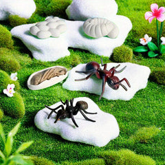 Educational Ant Growth Cycle Kit for Kids, PVC Material, Colors Vary