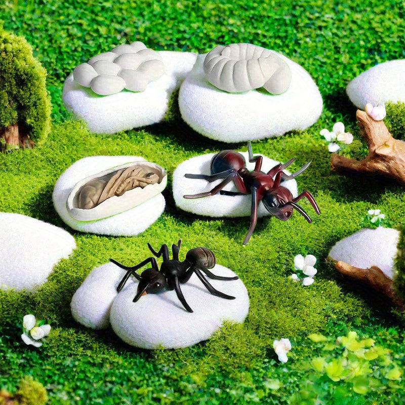 Educational Ant Growth Cycle Kit for Kids, PVC Material, Colors Vary