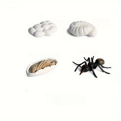 Educational Ant Growth Cycle Kit for Kids, PVC Material, Colors Vary