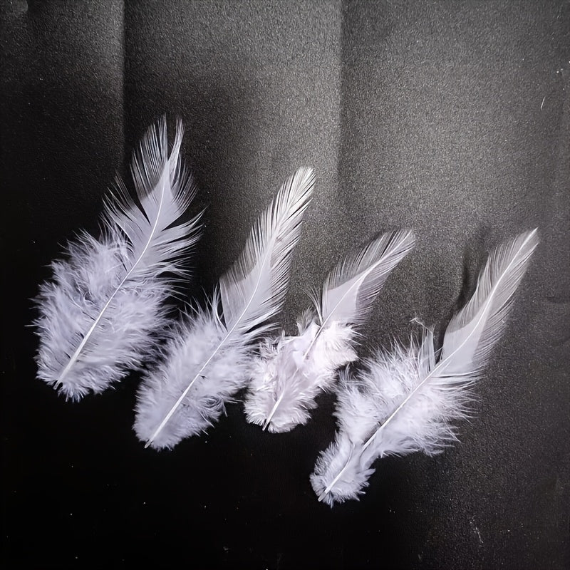 10pcs Artificial Chicken Feathers DIY Crafts Hats Bows Wall Decorations