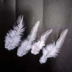 10pcs Artificial Chicken Feathers DIY Crafts Hats Bows Wall Decorations