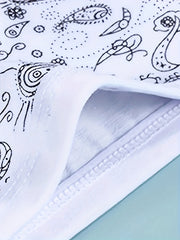 4 Pack Plus Size Boho Panties Set Women's Plus Paisley Print Underwear