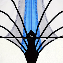 Exciting Kite Flying - Outdoor Fun with Kite & Handle