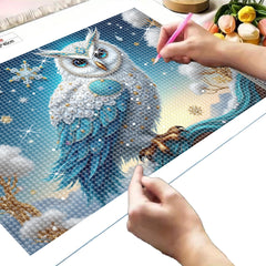 Snow Themed Owl Diamond Painting Kit for Adults Winter Scene