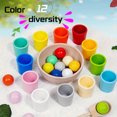 Rainbow Wooden Sorter Game Educational Toy