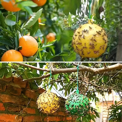 Eco-Friendly Home & Garden Fly Trap