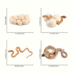Snake Growth Cycle Sensory Toy with Habitat