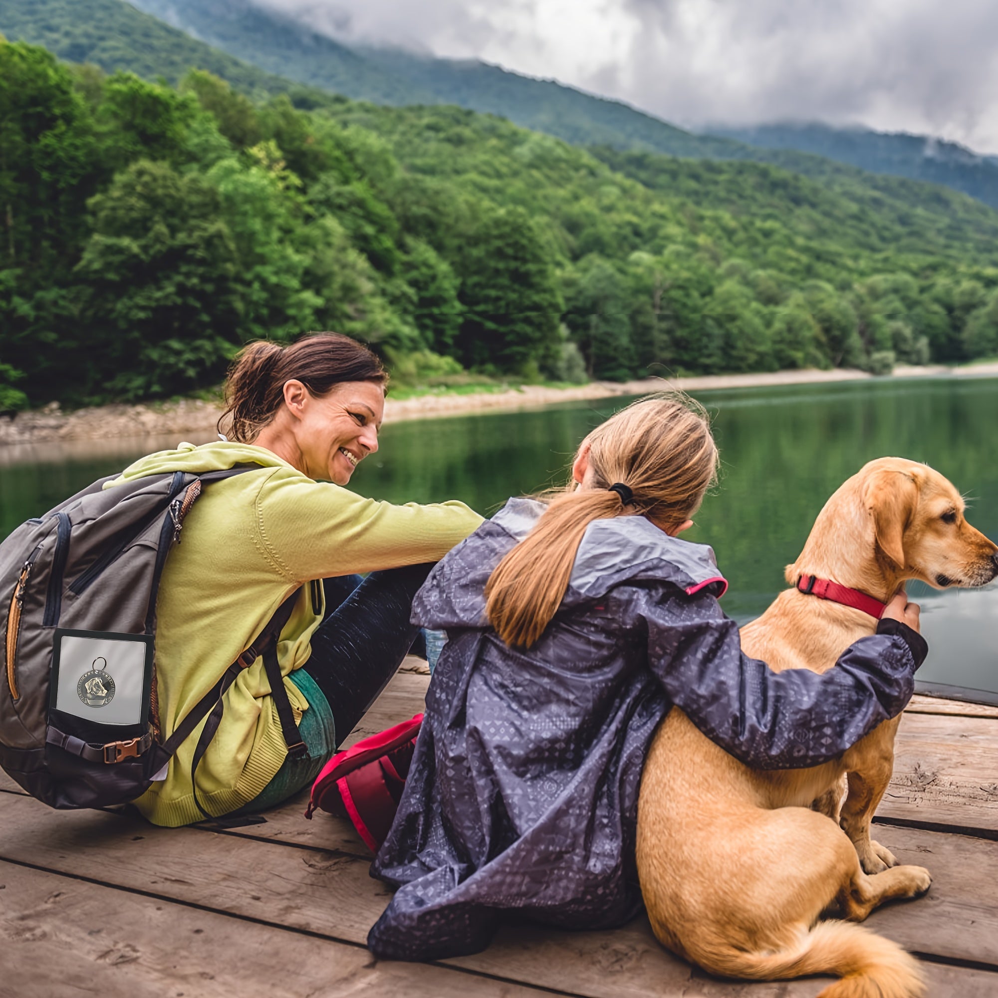 Pet Collar Memorial Frame Gift Display Keepsake