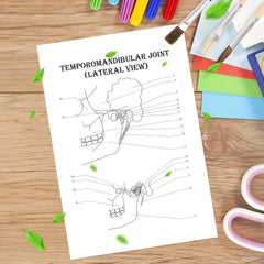 Anatomy & Physiology Coloring Book - Perfect Gift for Medical Students