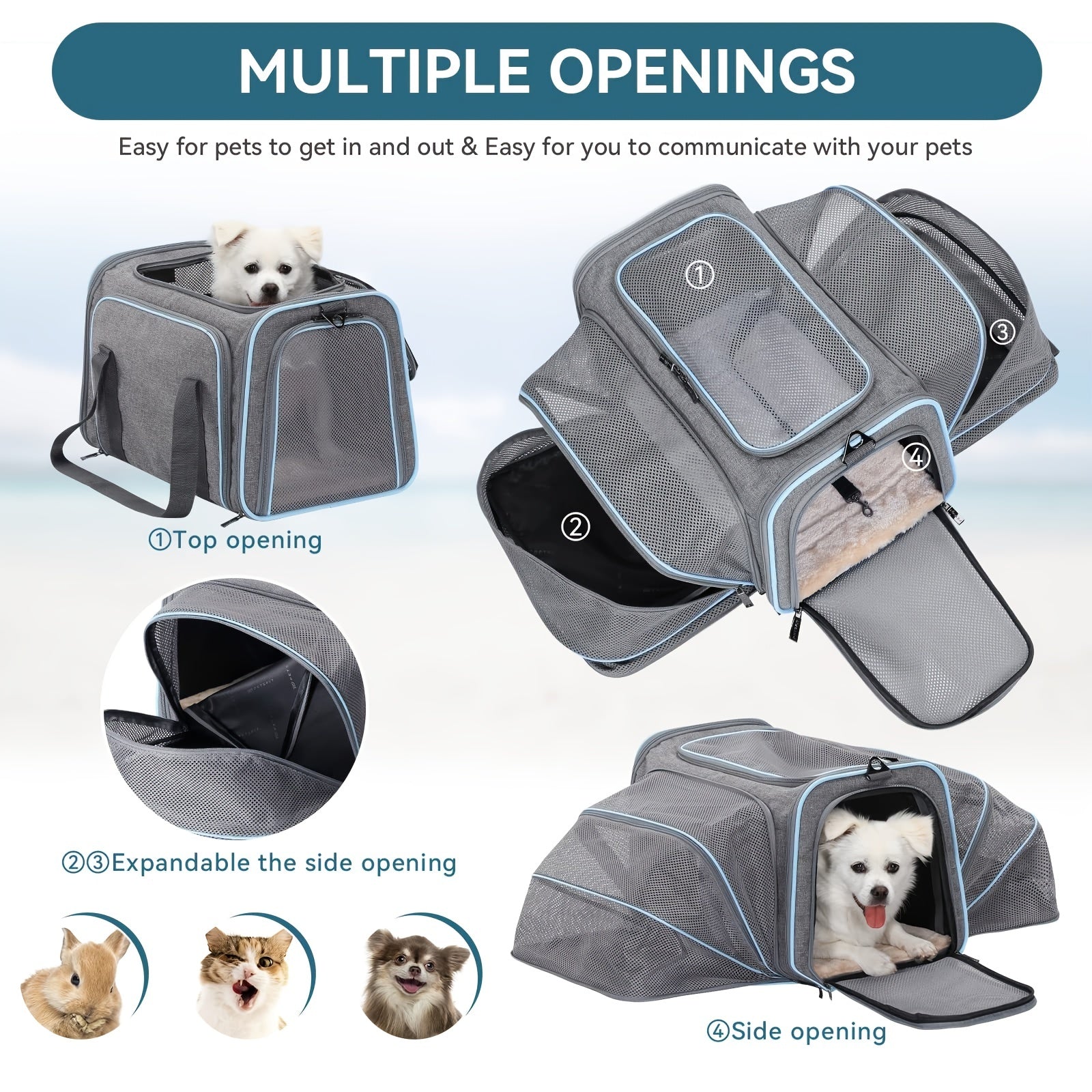Foldable Soft Sided Pet Carrier for Cats and Dogs