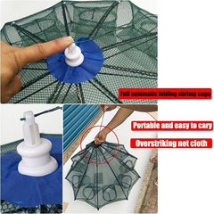 Collapsible Fishing Net for Live Fish and Shrimp