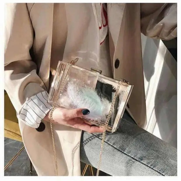 Acrylic Women's Chain Messenger Bag Purse Handbag