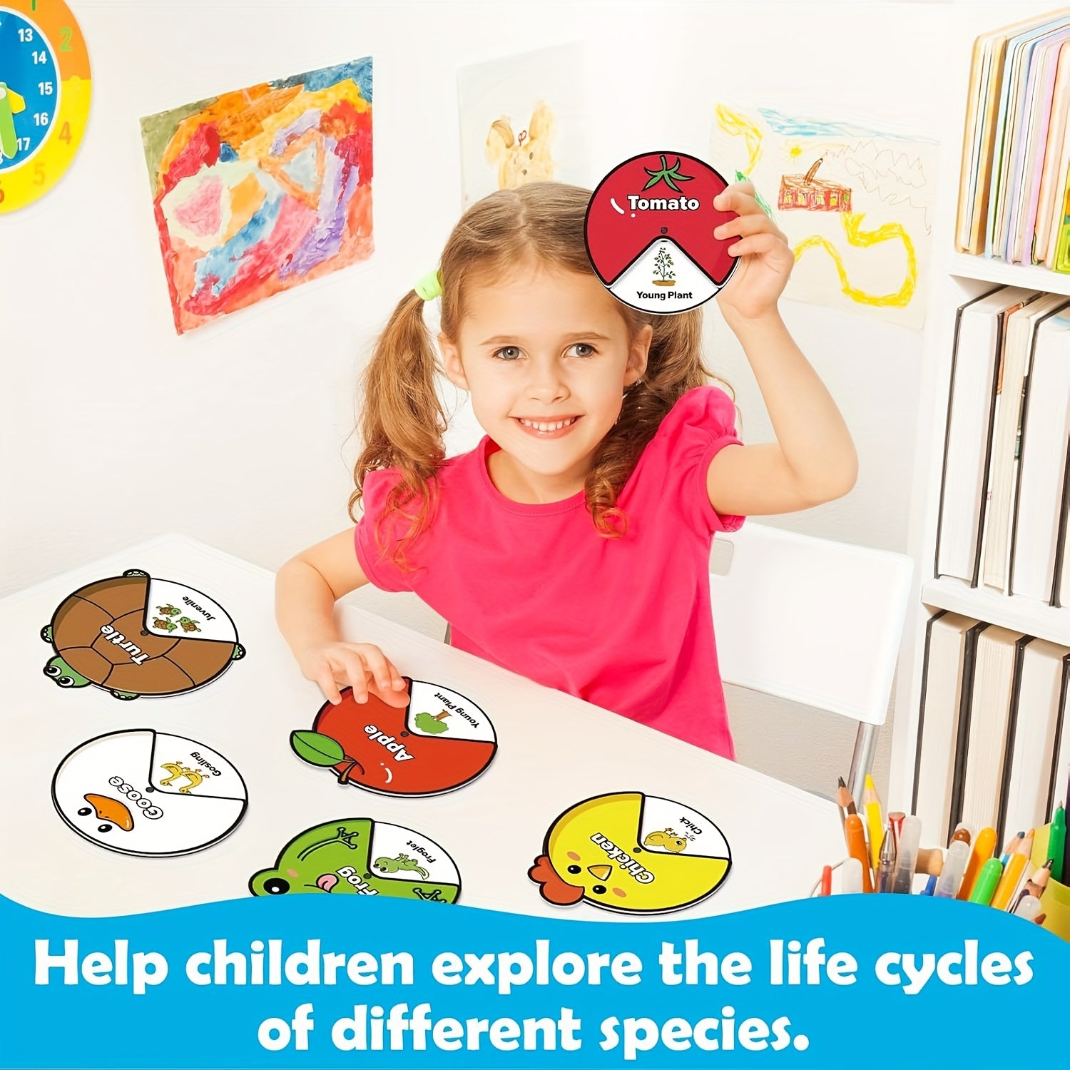 Kids Felt Lifecycle Toys - Educational Tools for ECD