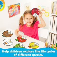 Kids Felt Lifecycle Toys - Educational Tools for ECD