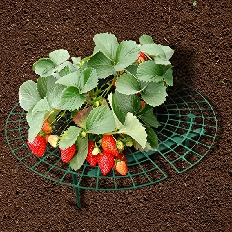 3pcs Strawberry Tray Holder Anti-overturning Plant Support