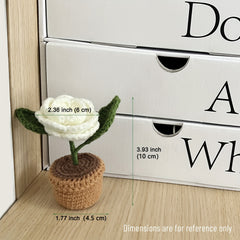 Camellia Crochet Kit For Beginner Step by Step Crochet Tutorial