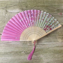 Classical Ancient Style Fan Dance Performance