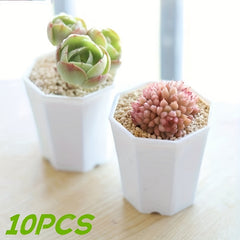 10pcs Octagonal Planter for Succulents & Cacti Growth