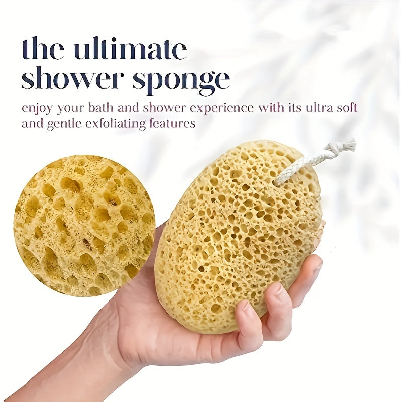 5 Pcs Exfoliating Bath Sponge Natural Seaweed Honeycomb Sponge