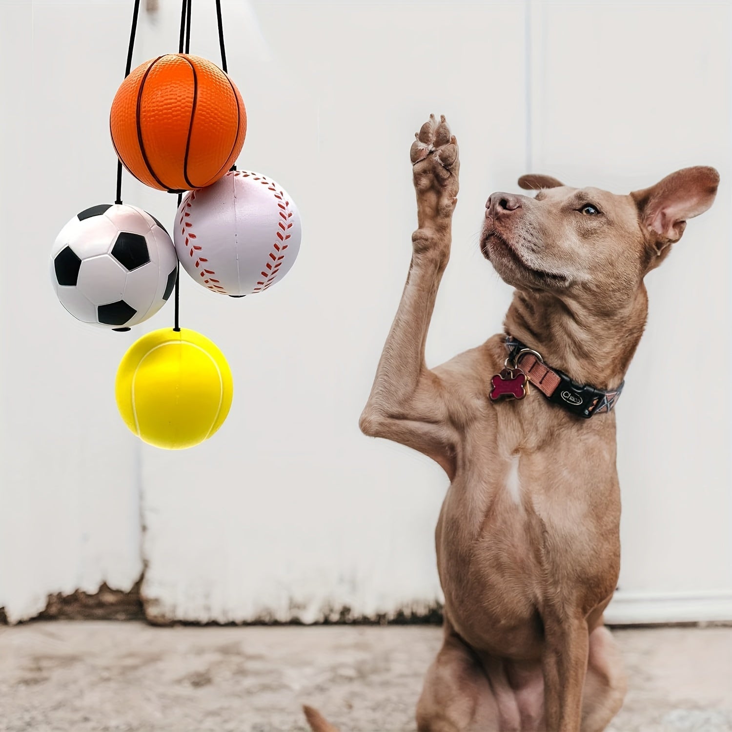 Sports Wrist Ball for Exercise & Training